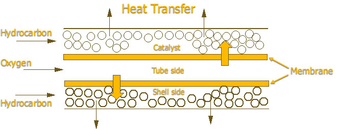 Schematic of tube-and-shell membrane reactor